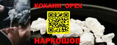 тгк Кингисепп