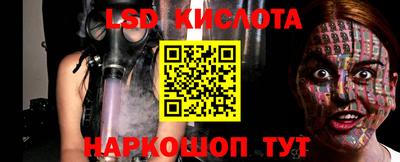 тгк Кингисепп