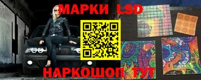 тгк Кингисепп
