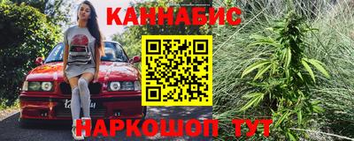 тгк Кингисепп