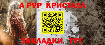 тгк Кингисепп