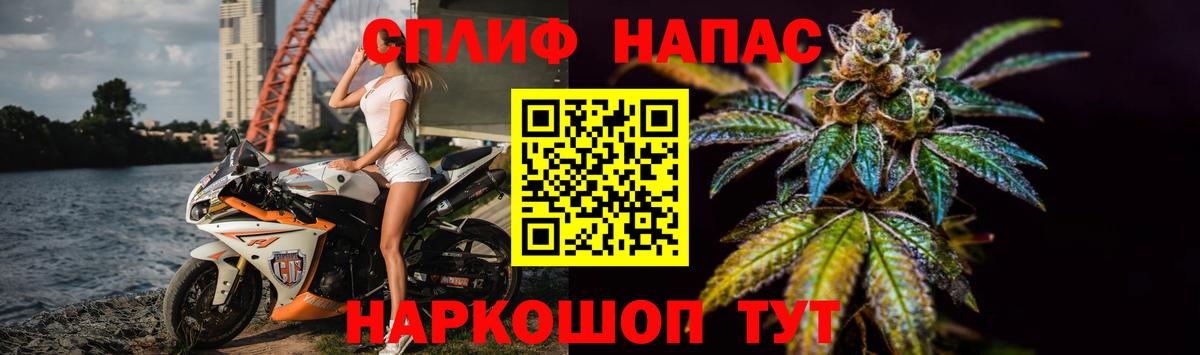 Конопля гибрид Кувандык